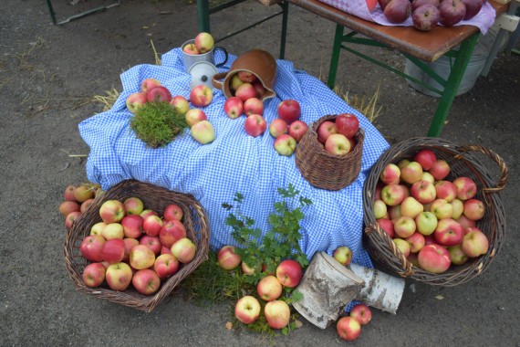 Bunte Vielfalt 