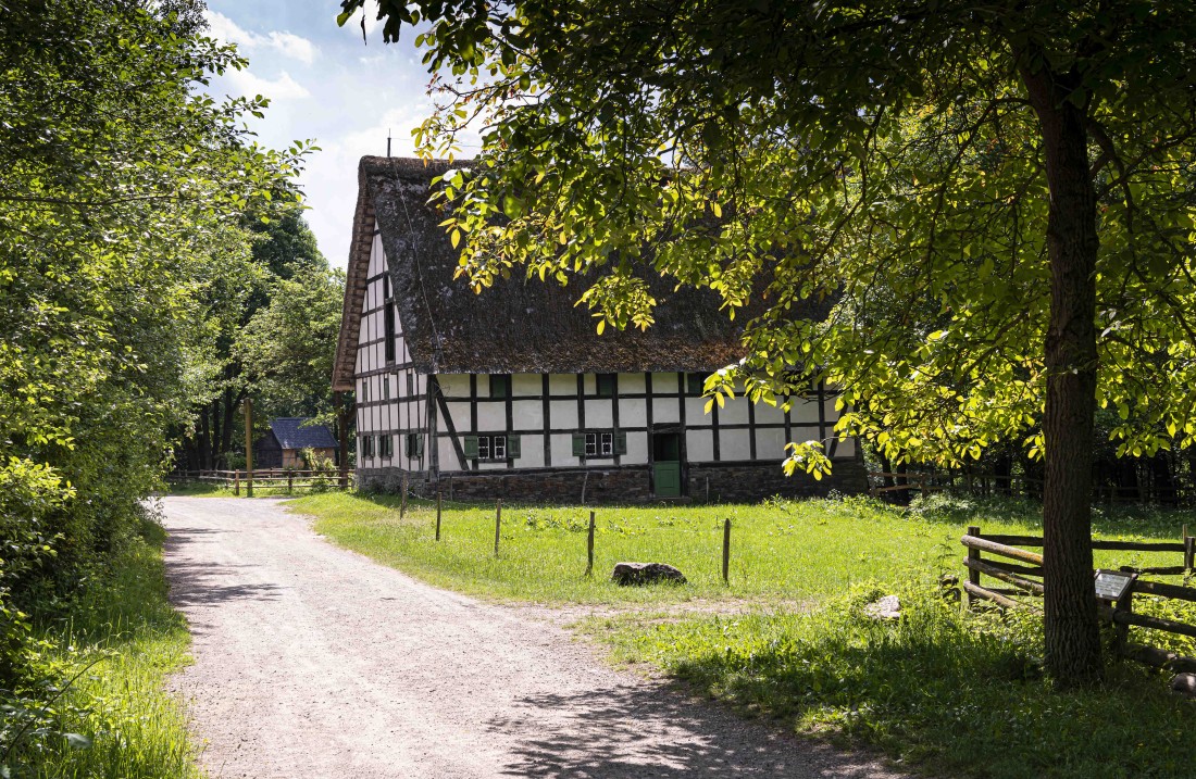 Gravel path leads to trees to a half-timbered house