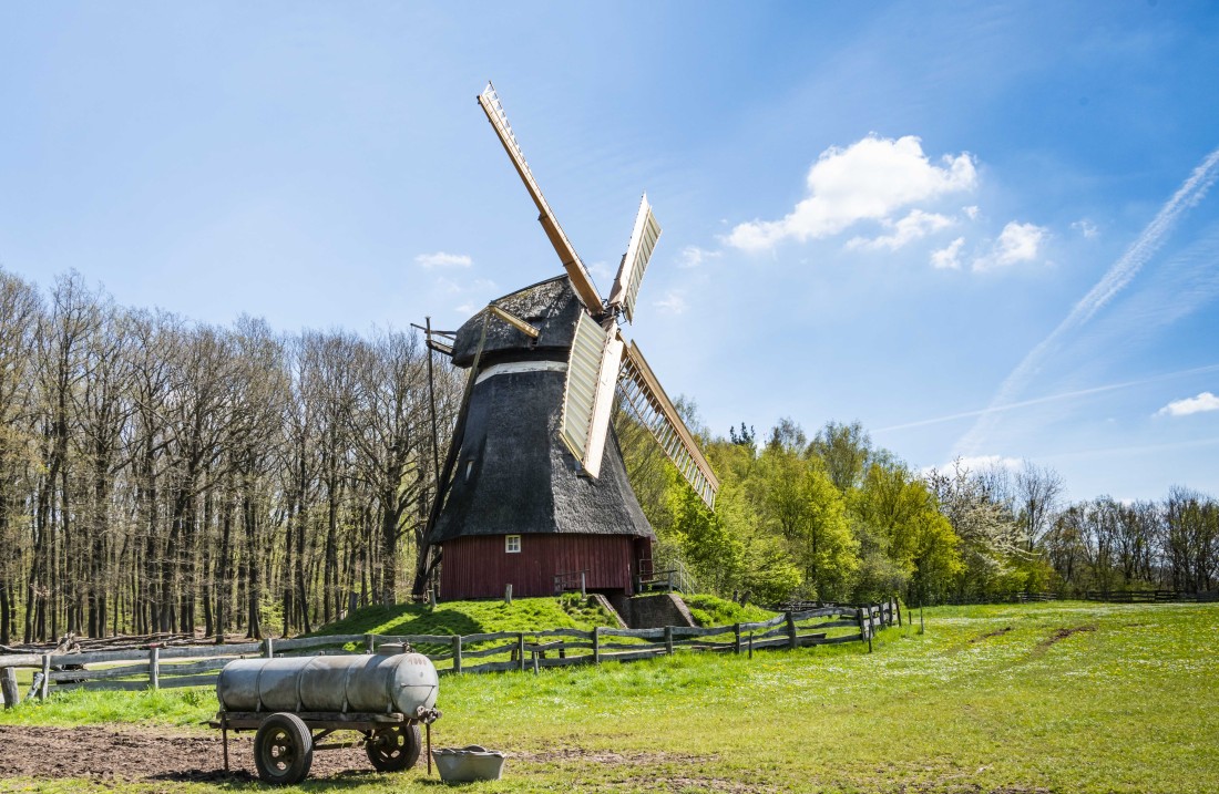 Large meadow, in the foreground a watering wagon, in the background a windmill