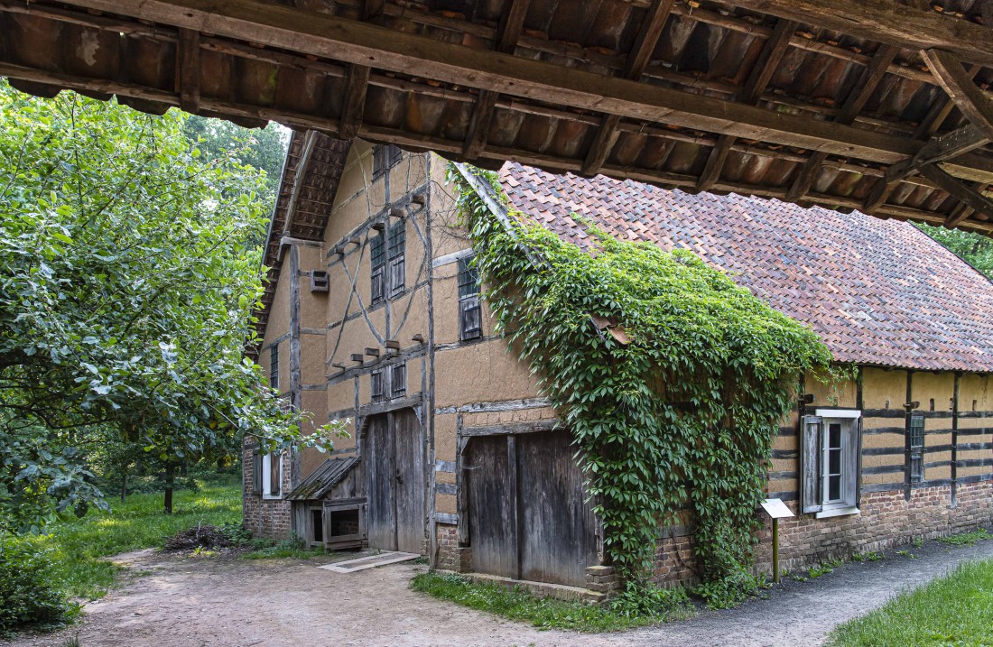 man Blick unter einem Dach hervor auf ein braunes Fachwerkhaus, an dem sich Pflanzen hochranken