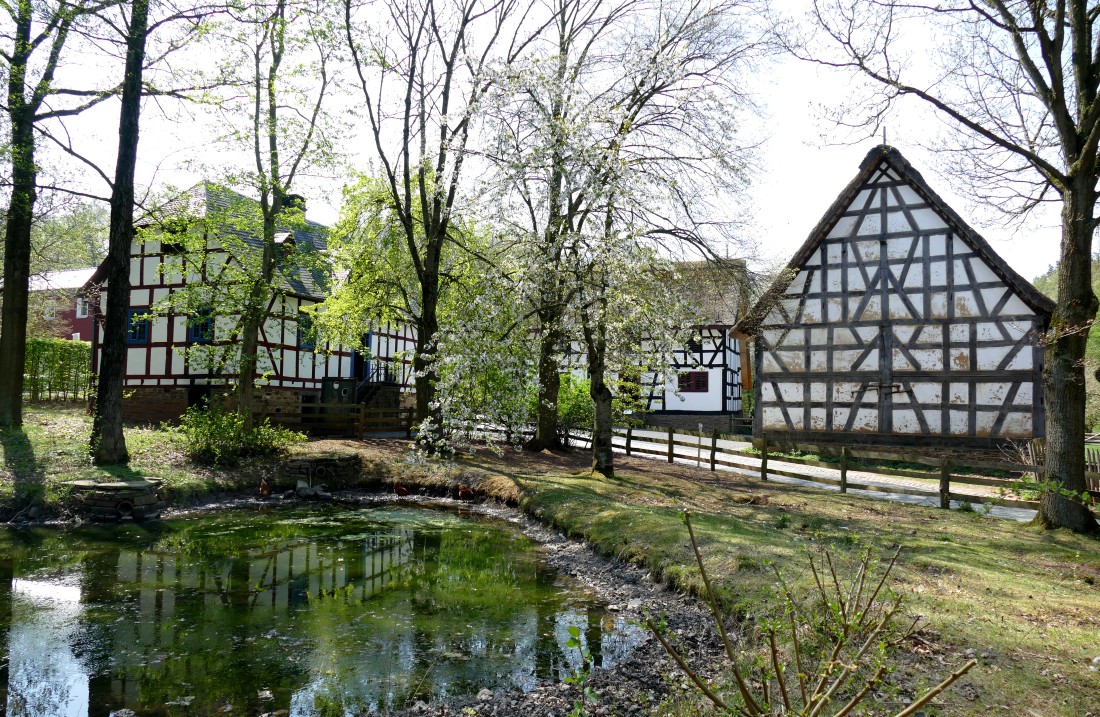 Blick über einen Teich auf Bäume und Fachwerkhäuser
