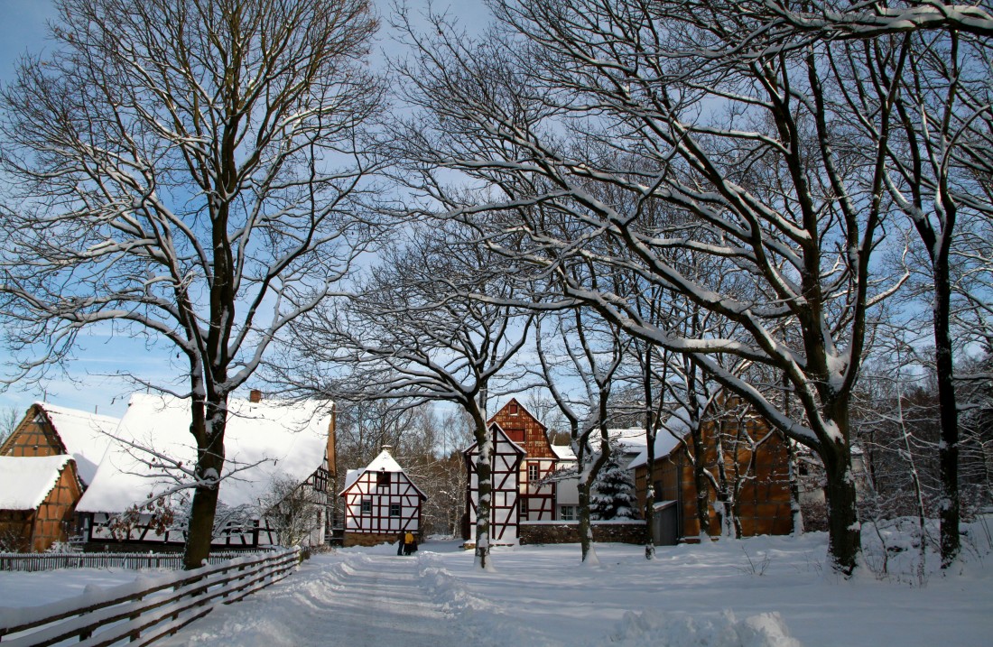 Wiese mit Bäume, im Hintergrund Fachwerkhäuser, alles mit Schnee bedeckt