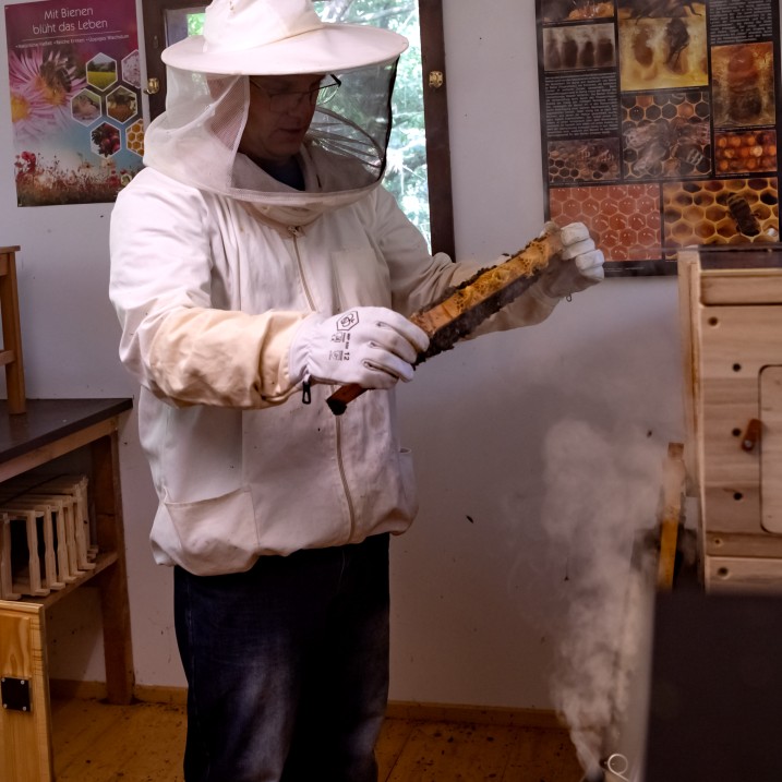 Imker verbreitet Rauch über einem Bienenstock