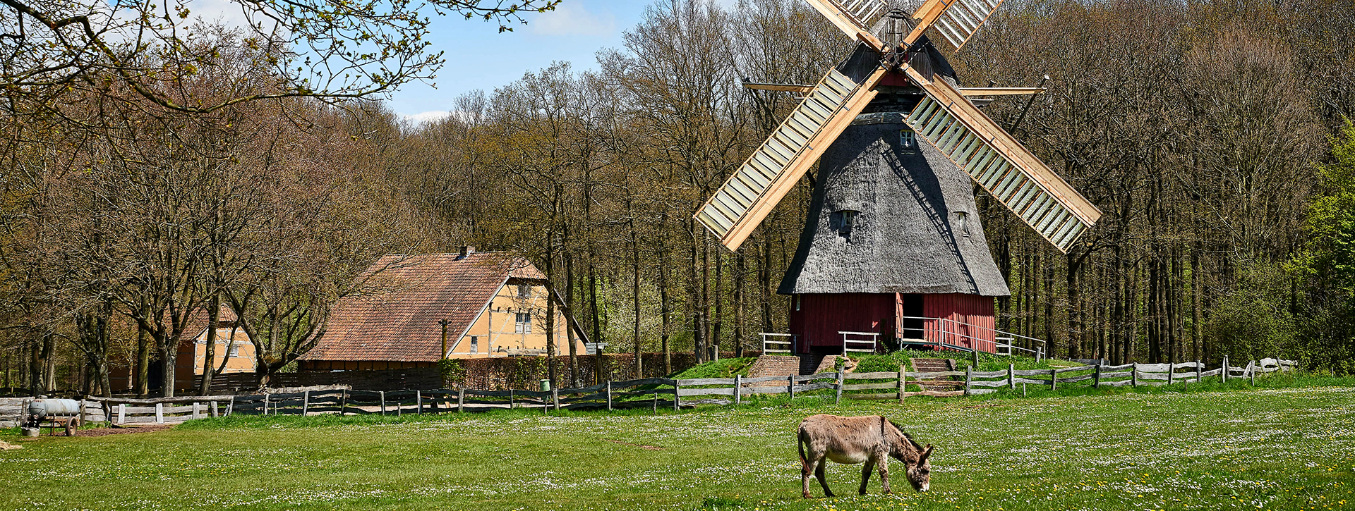 Wiese mit Windmühle und Fachwerkhaus, im Vordergrund ein Esel