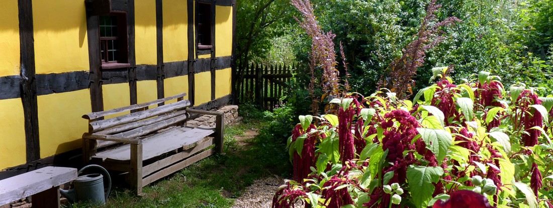 Gelbes Fachwerkhaus hinter einem Garten