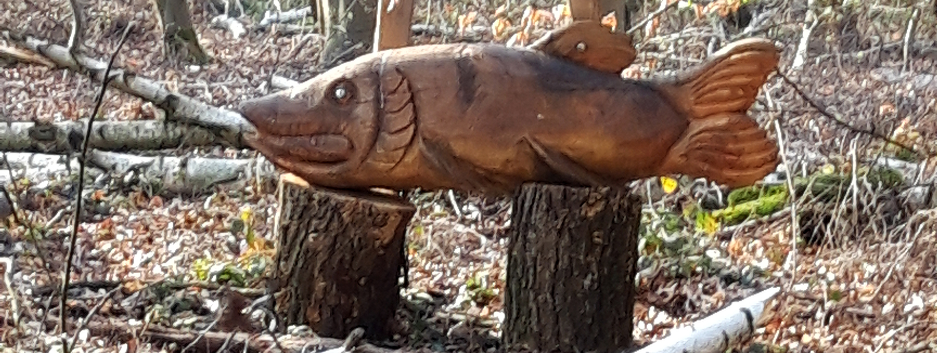 aus Holz geschnitzter Fisch liegt auf zwei Baumstümpfen