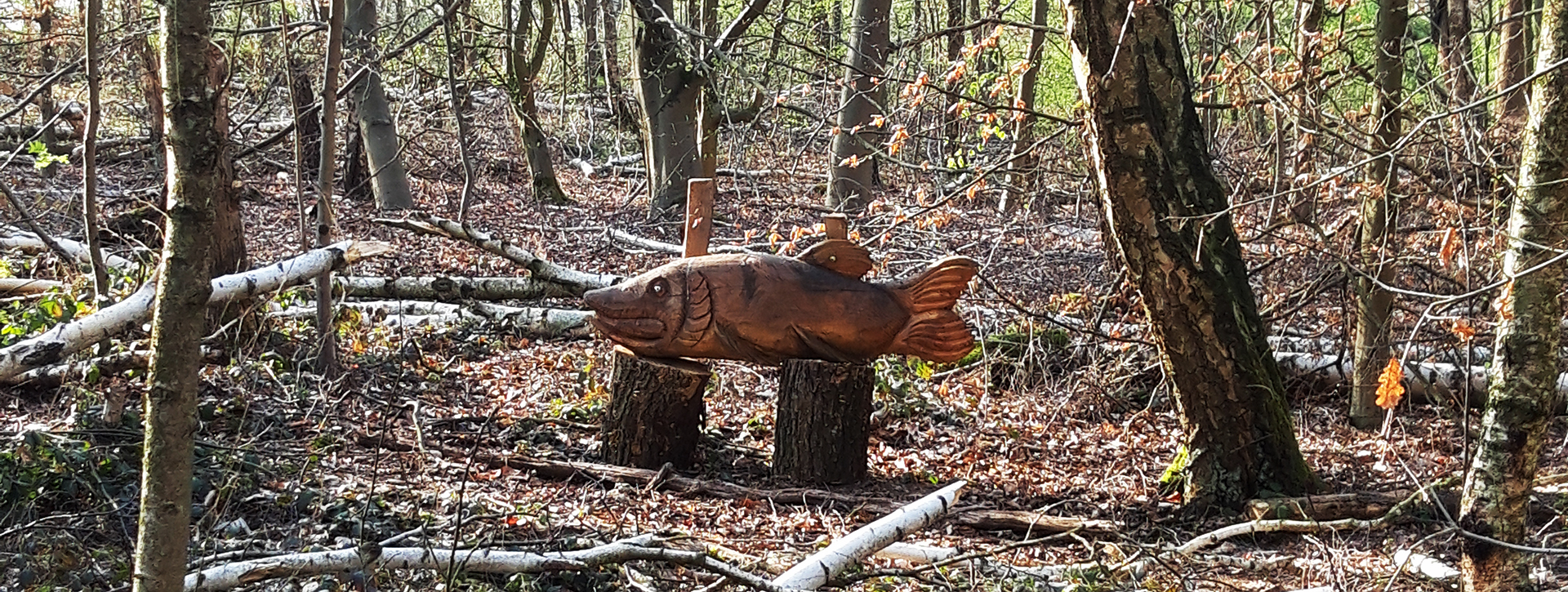 Fish carved from wood lies on two stumps