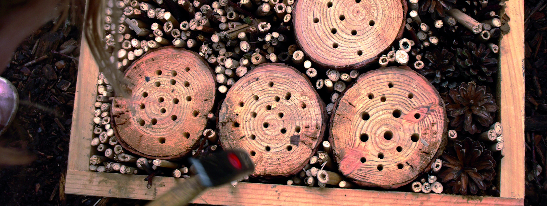 Detailed view of an insect hotel