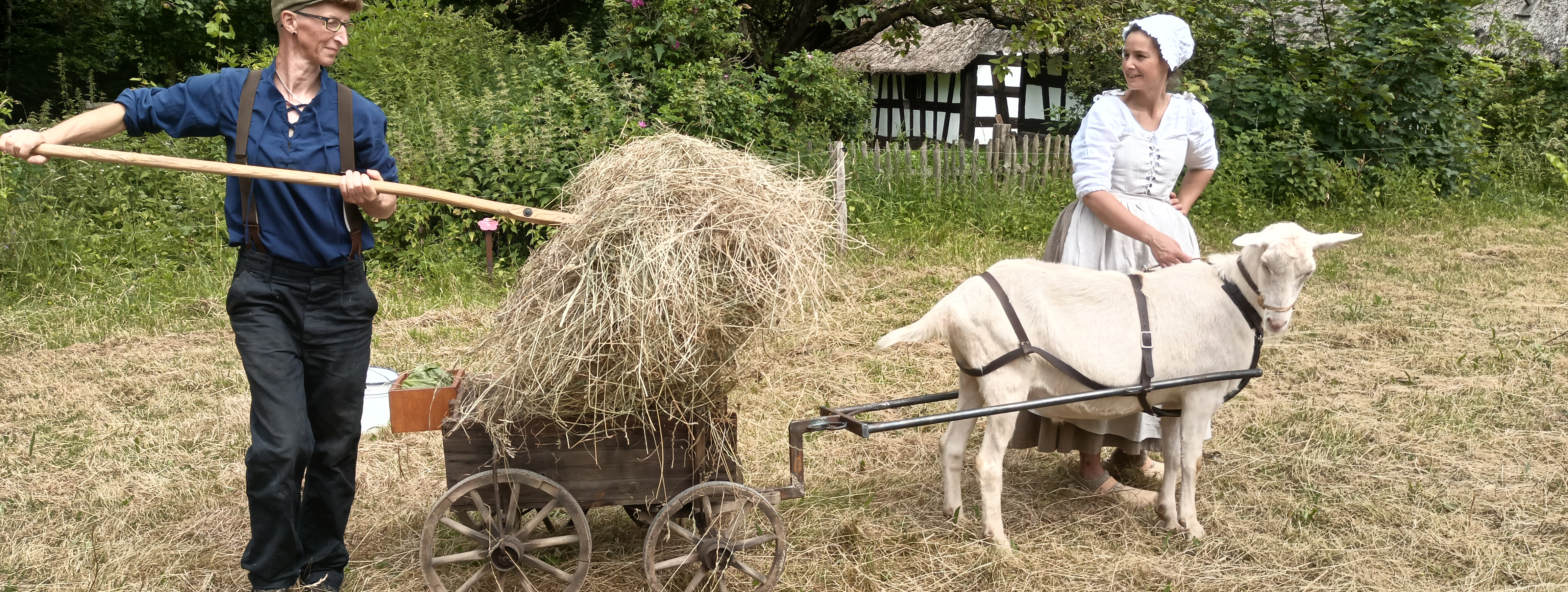 A man loads hay onto a cart pulled by a goat. A woman leads the goat