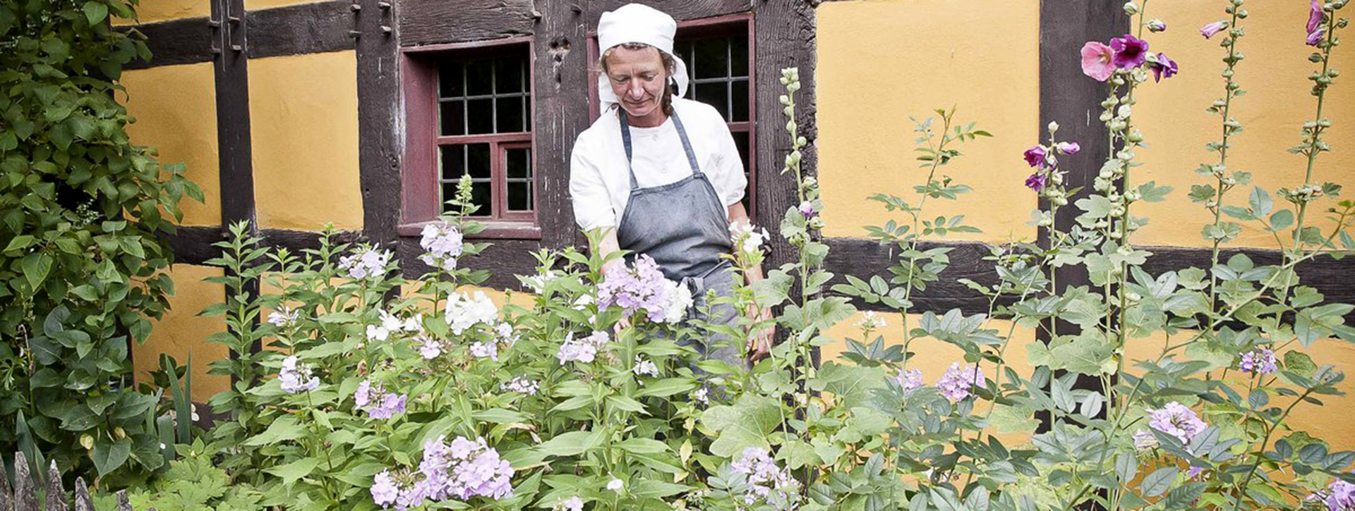 A woman with a white headscarf is standing behind tall plants in front of a yellow half-timbered house