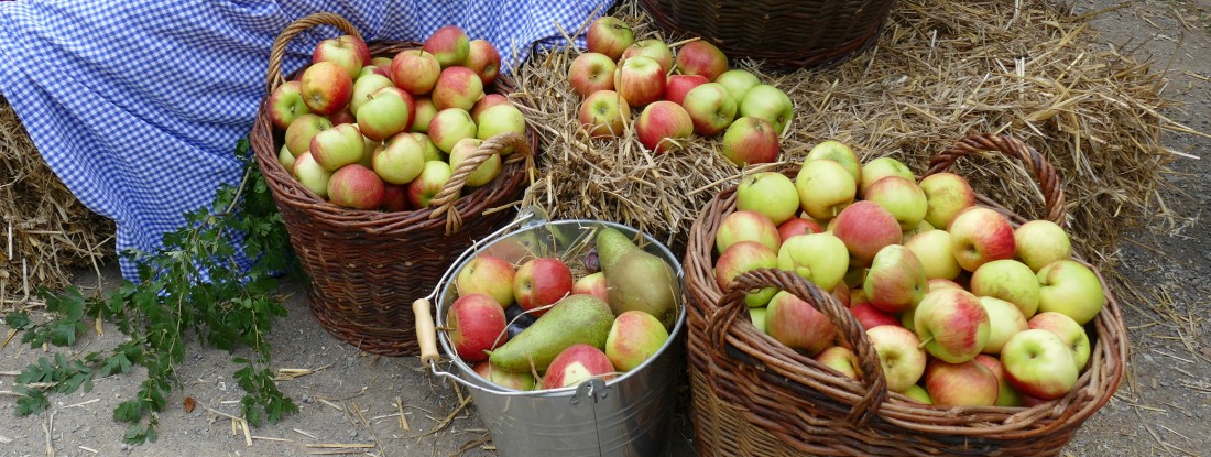 K&ouml;rbe mit &Auml;pfeln