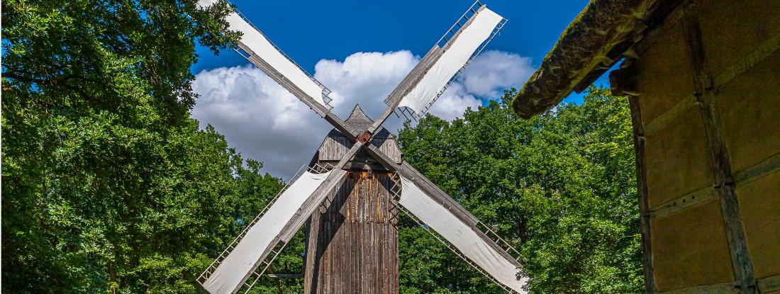 Bockwindmühle vor Wald