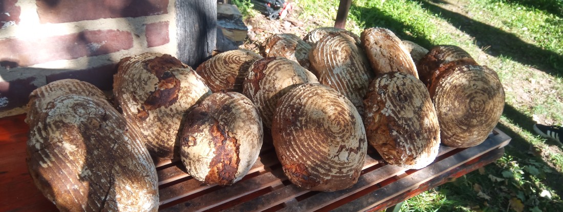 Brotlaibe auf Holzrost