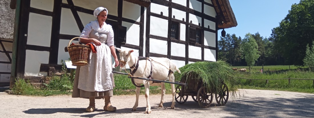 Frau in historischem Kostüm mit Ziege Jupp und Wagen