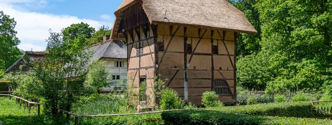 Fachwerkhaus mit Bäumen