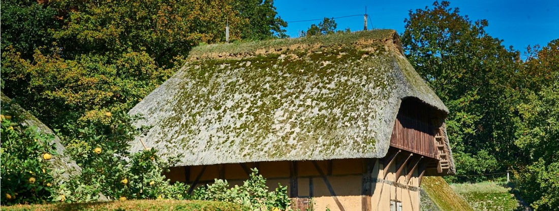 Fachwerkhaus vor Bäumen