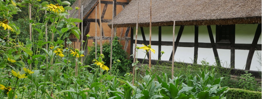 Garten vor Fachwerkhaus