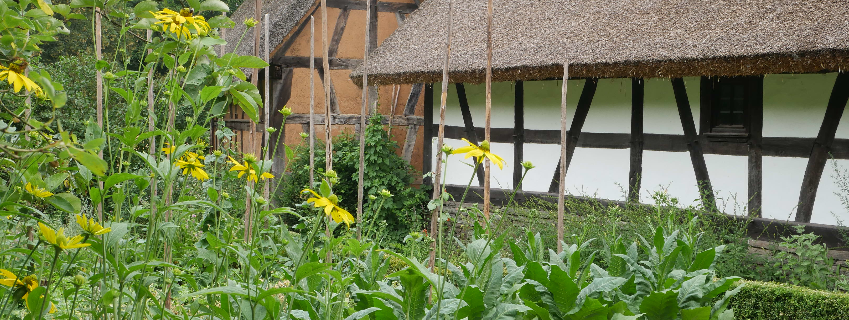 Garten des Hauses aus Ruppenrod mit blühenden Blumen