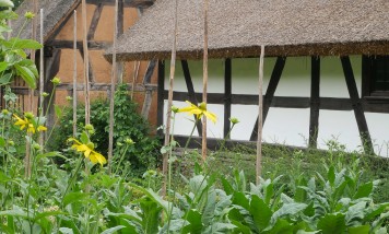 Garten des Hauses aus Ruppenrod mit blühenden Blumen