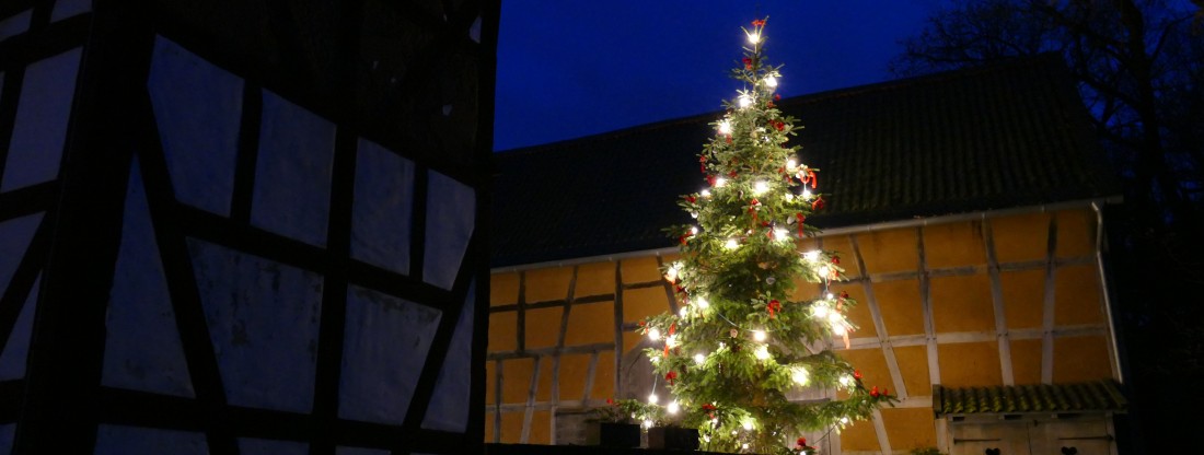 Weihnachtsbaum