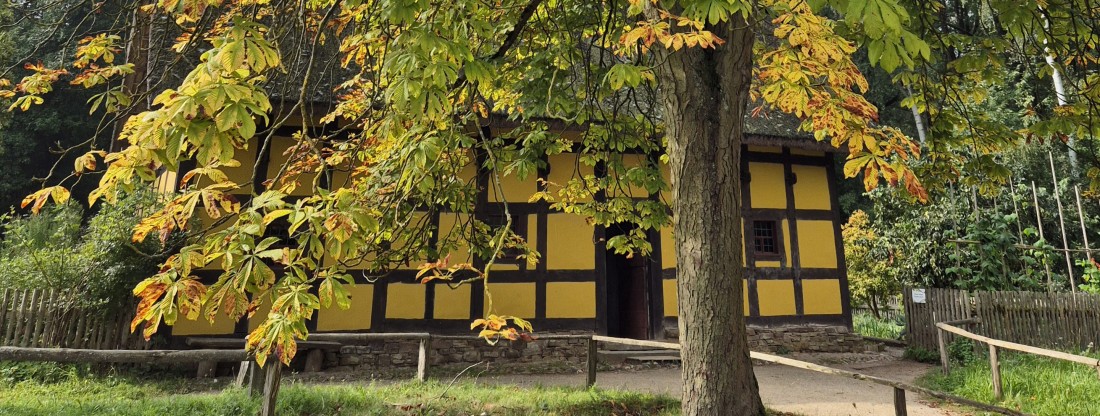 Fachwerkhaus mit herbstlichem Baum