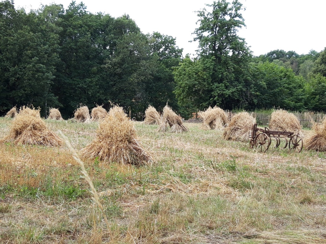 Booklet and book with old writing