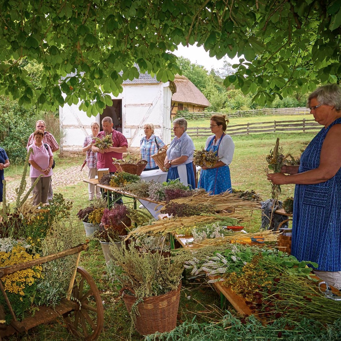 Women in front of a table with herbs