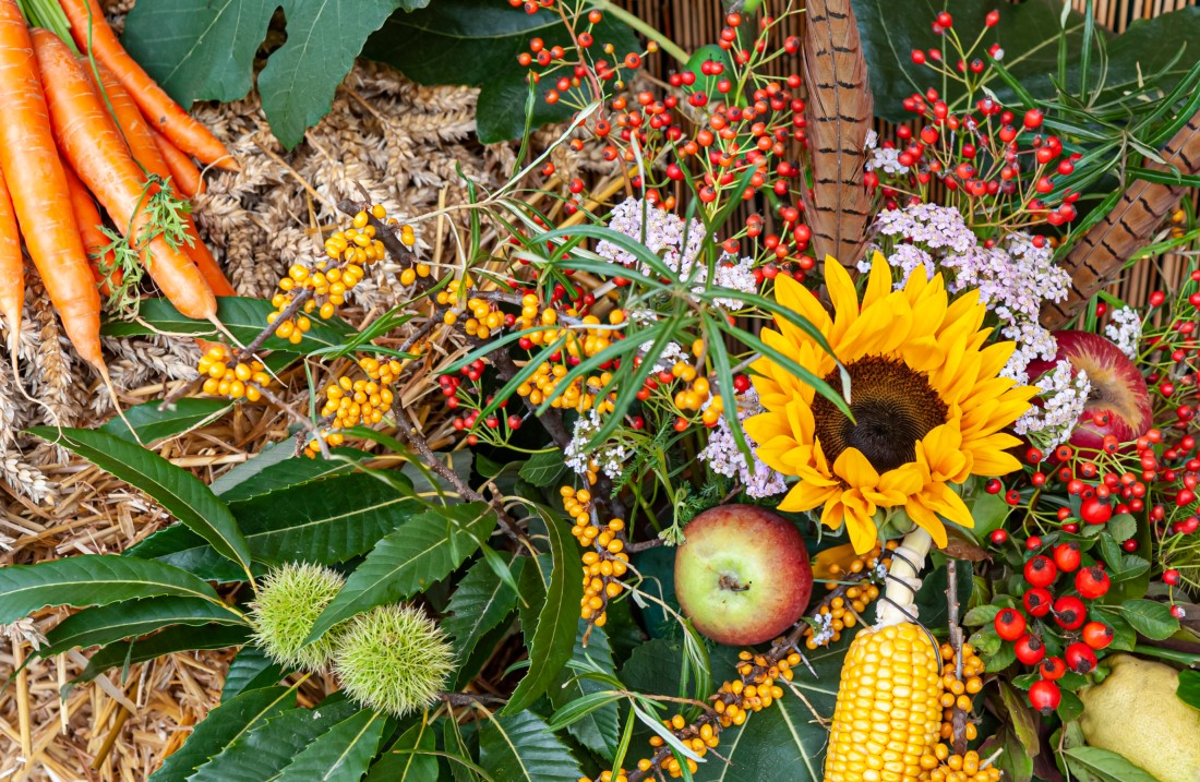 Gesteck mit Sonnenblumen, Möhren, Disteln und anderen Pflanzen