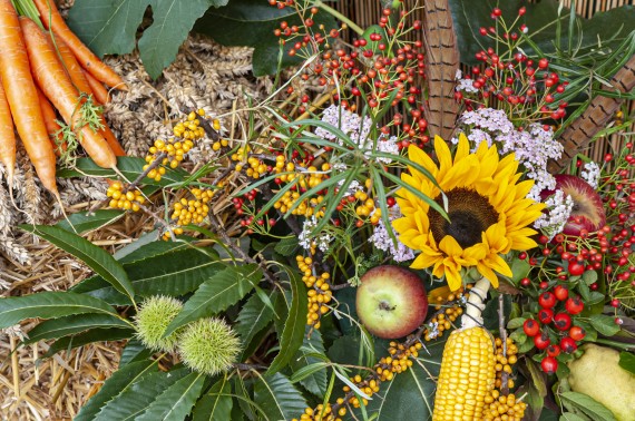 Erntestimmung durch Blumen