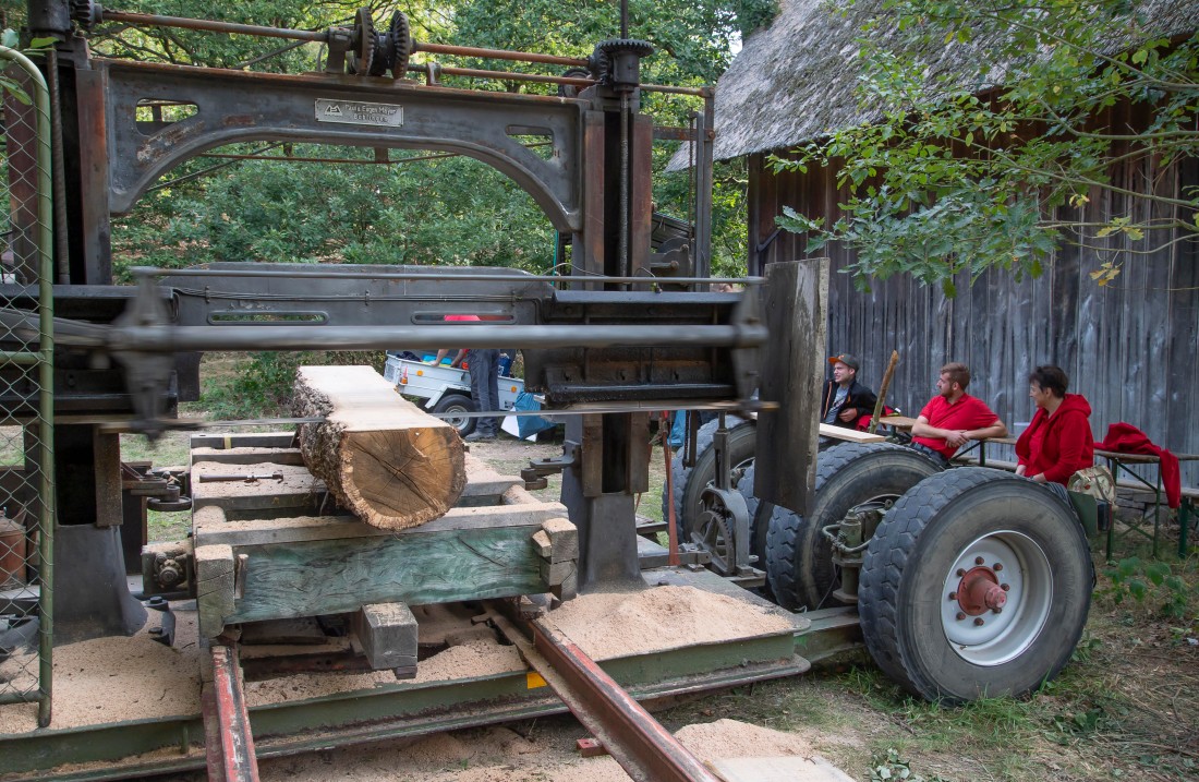 Steam powered saw gate with a log being sawn