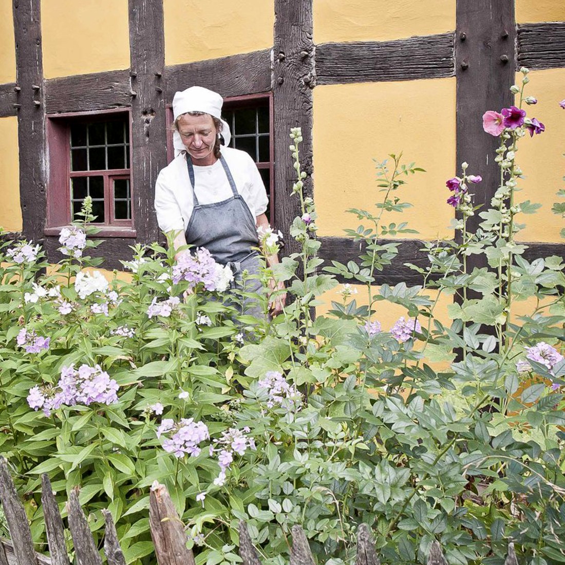 Frau mit weißem Kopftuch steht hinter hohen Pflanzen vor einem gelben Fachwerkhaus