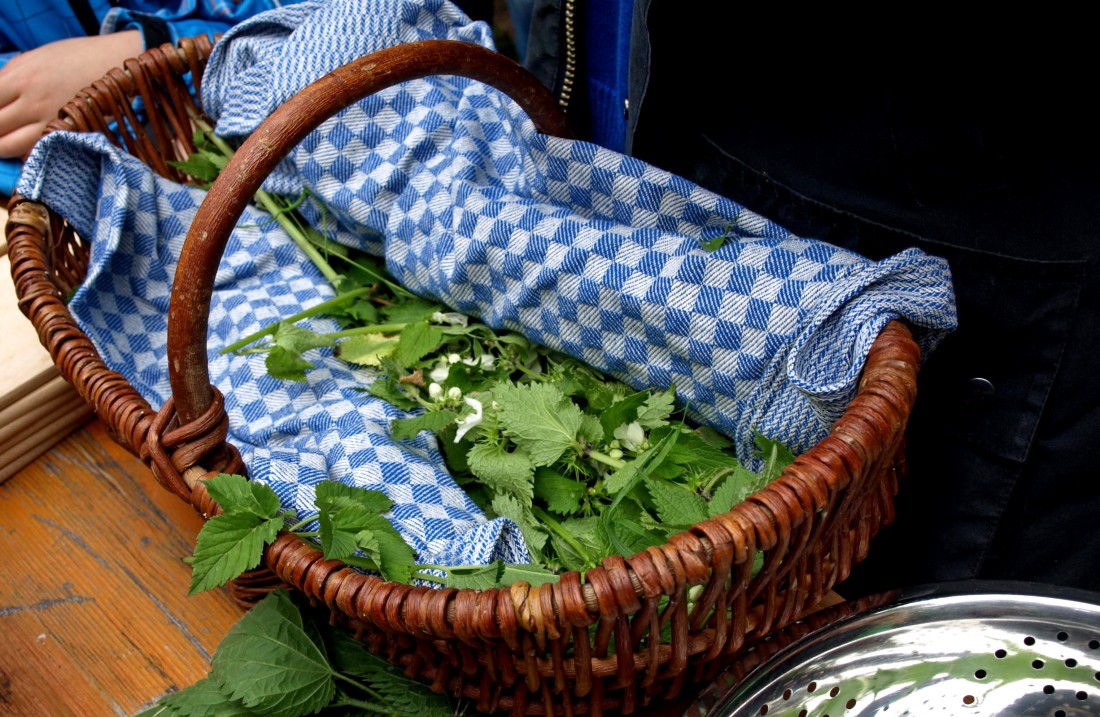 Korb mit blau-weiß kariertem Tuch und grünen Kräutern