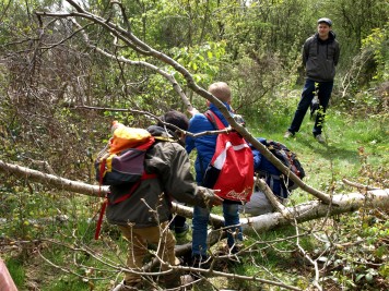 Children run through the forest with sticks