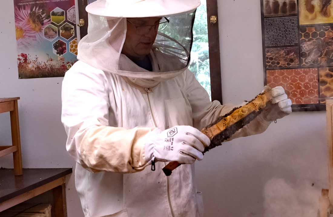 Imker beruhigt die Bienen mit Rauch