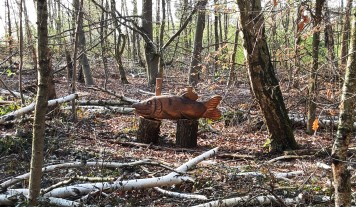 Wooden fish in the forest